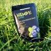 Canah Hempup fit hemp protein shake blueberry Bio-Market grass front