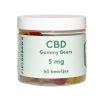 Fieldgrown gummy bear gummies beertjes cbd gummies 5mg cbd BIO-market cut-out front2